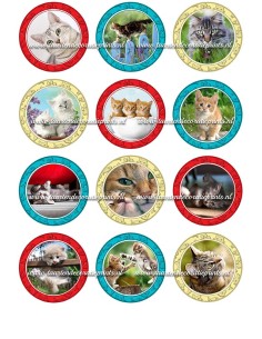 Eetbare Print Katten Cupcakes - 6cm