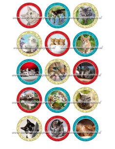 Eetbare Print Katten Cupcakes - 5cm