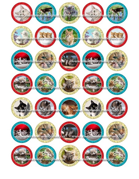 Eetbare Print Katten Mini Cupcakes - 3,5cm