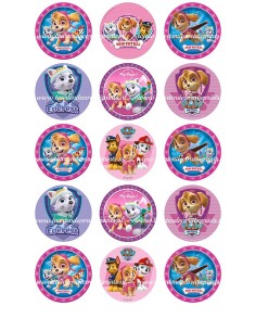 Eetbare Print Paw Patrol Girls Cupcakes - 5cm