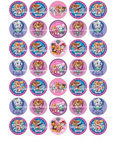 Eetbare Print Paw Patrol Girls Mini Cupcakes - 3,5cm