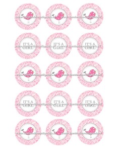 Eetbare Print Babyshower Meisje Cupcakes - 5cm