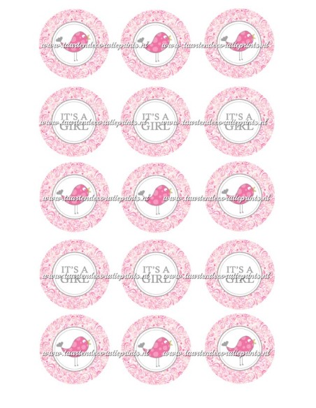 Eetbare Print Babyshower Meisje Cupcakes - 5cm