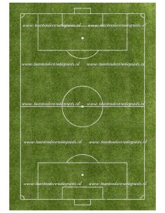 Eetbare Print Voetbalveld - 20x28cm