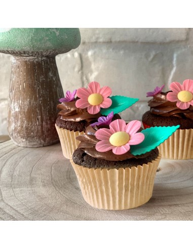 Dekora Ouwel Bloemen en Blad Assorti Roze -38st-