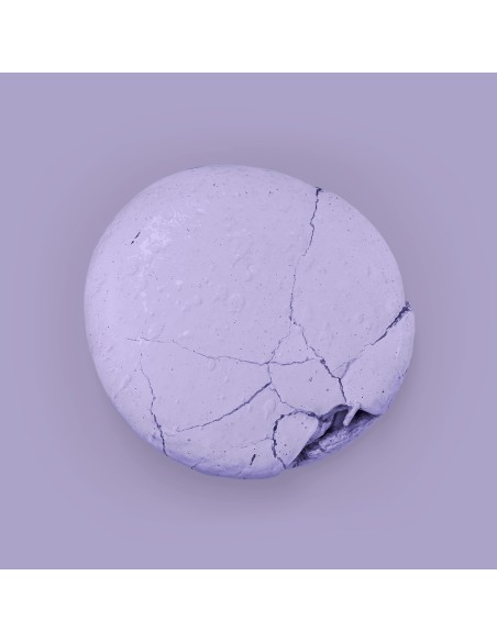 Colour Mill Eetbare Kleurstof Gel Lavender -20ml-