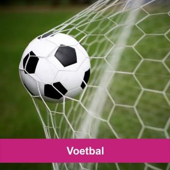 3D Voetbal