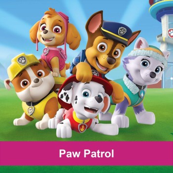 Toppers Paw Patrol