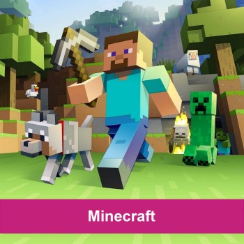 Toppers Minecraft
